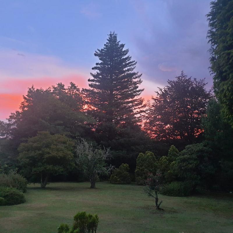 3 Bedroom Property for Sale in Hogsback Eastern Cape